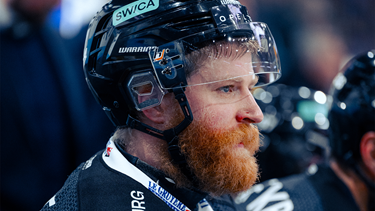 Fribourg-Gottéron verpflichtet Daniel Ljunggren