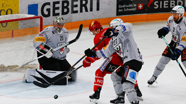 Playoffs 1/4, Acte 6 : Gottéron égalise dans la série