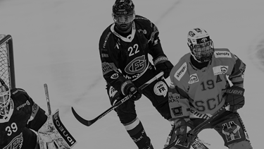 Gottéron verliert gegen Langnau