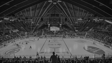 Spengler-Cup; WE ARE BACK