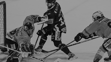 Highlights, Interviews & Fotos vom Sieg gegen Bern