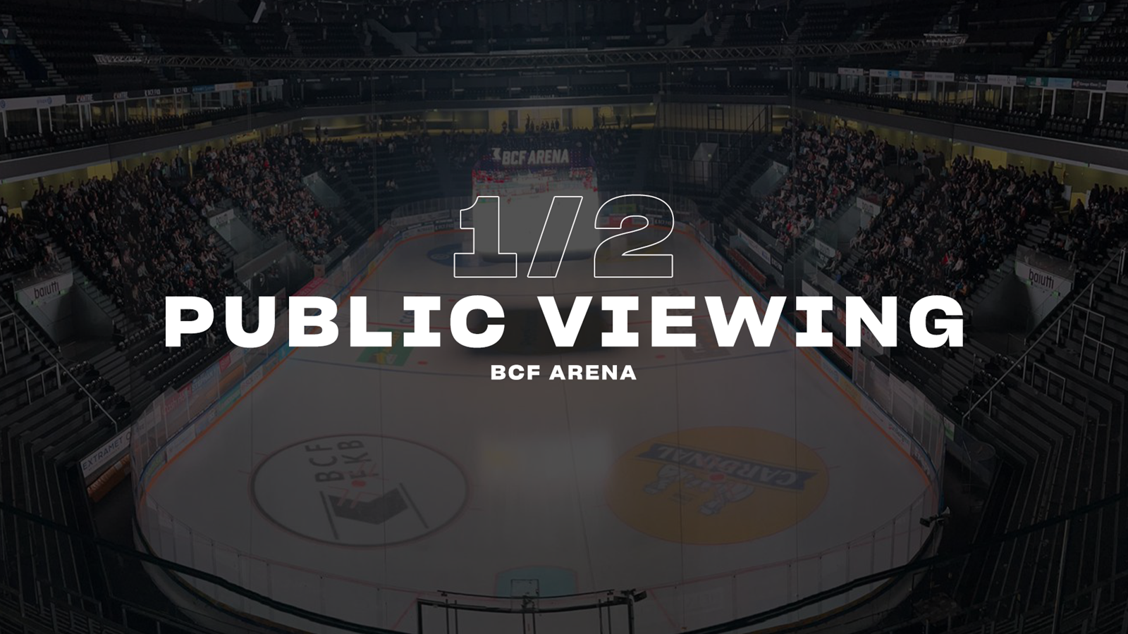 Public Viewing 1/2 Final