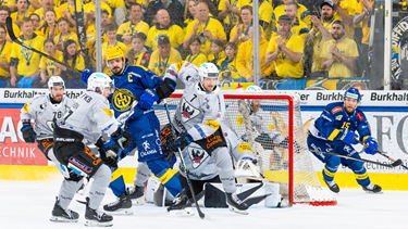 FINALE, Game 3 : Gotteron gewinnt wieder in Davos