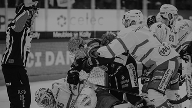 Sieg der Drachen gegen Rapperswil
