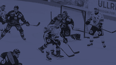 Gottéron verliert Spiel 5 in Bern