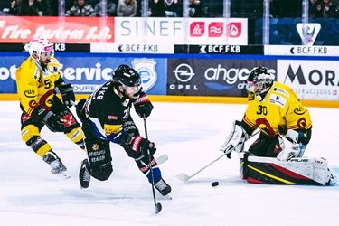 Fribourg-Gottéron VS SC Bern