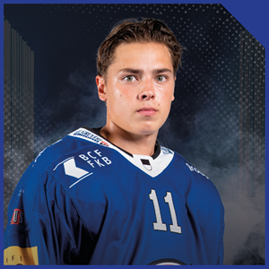 Lucas   Hedlund