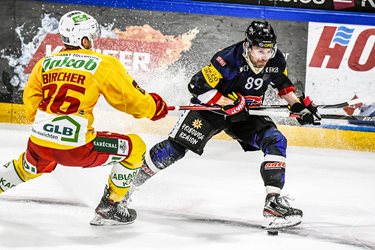 Fribourg-Gottéron VS SCL Tigers