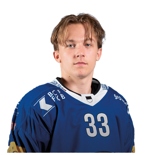 Ludvig Johnson