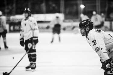 Fribourg-Gottéron VS SCL Tigers