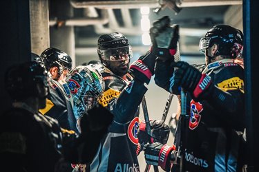 Fribourg-Gottéron VS Lausanne HC