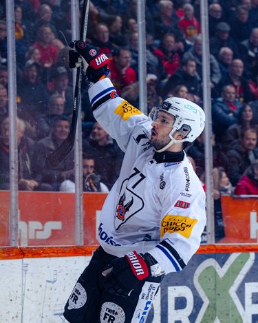 SC Bern VS Fribourg-Gottéron