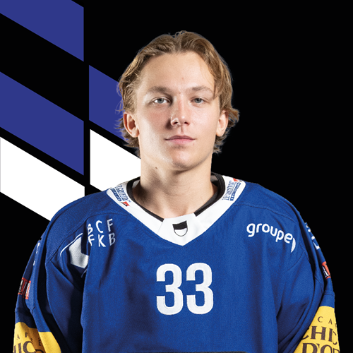 Ludvig Johnson