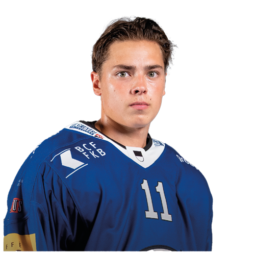 Lucas   Hedlund