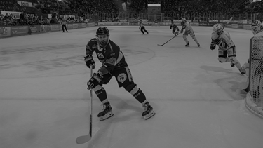 Gottéron schlägt Ambri