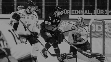 CHL : Fribourg-Gottéron vs Bratislava HIGHLIGHTS