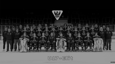Unterstützen Sie unsere U17-Elit