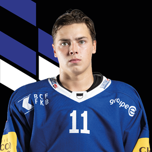Lucas   Hedlund