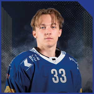 Ludvig Johnson