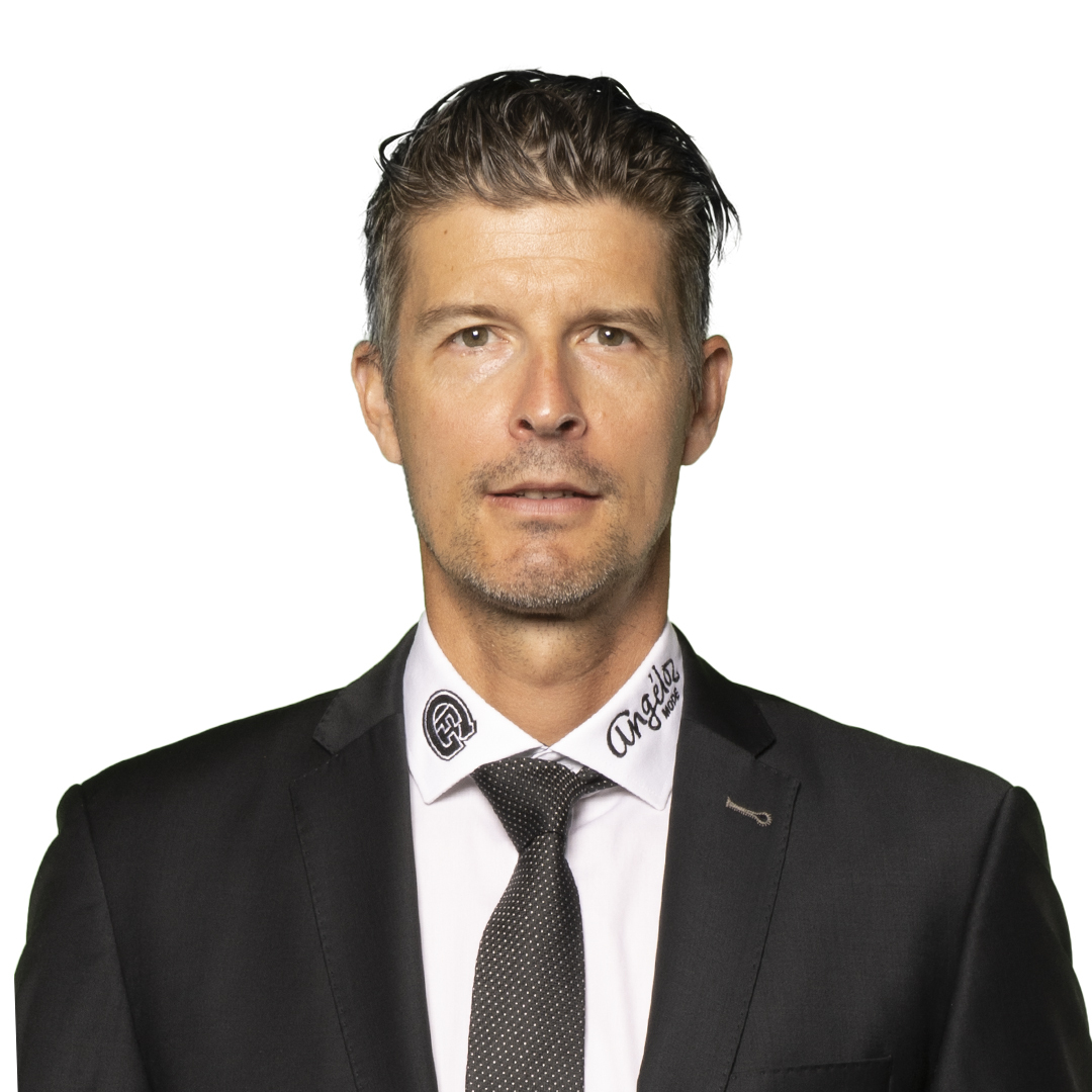 David Aebischer