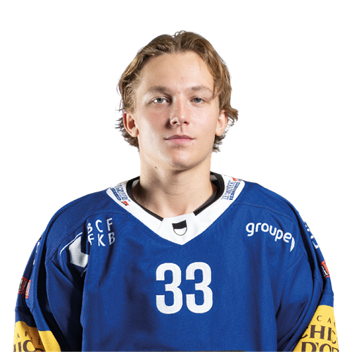 Ludvig Johnson