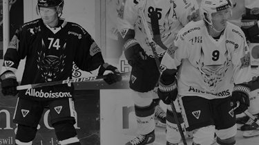 Hier gehts zur Ersteigerung der Pre-Season 23/24 Shirts...