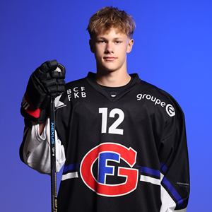 Andrejs Losans