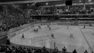 Gottéron verliert in Langnau