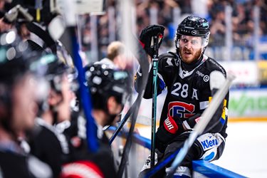 Fribourg-Gottéron VS SC Bern