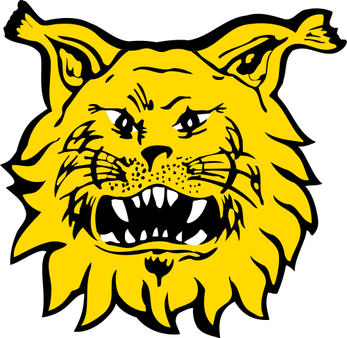 Ilves Tampere