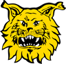 Ilves Tampere