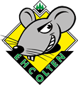 Hcfg.shl_team_9
