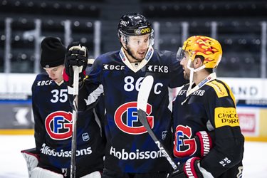 Fribourg-Gottéron VS SCL Tigers