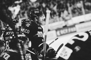 Fribourg-Gottéron VS SC Bern